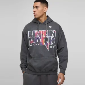 Oversized Link Park Washed License Hoodie